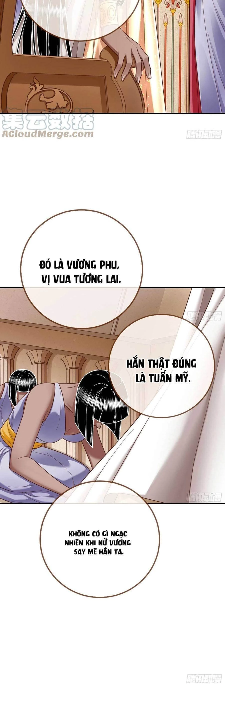 Vạn Tra Triêu Hoàng Chapter 518 - 17