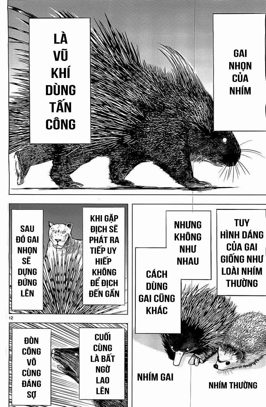 Killing Bites Chapter 3 - 12