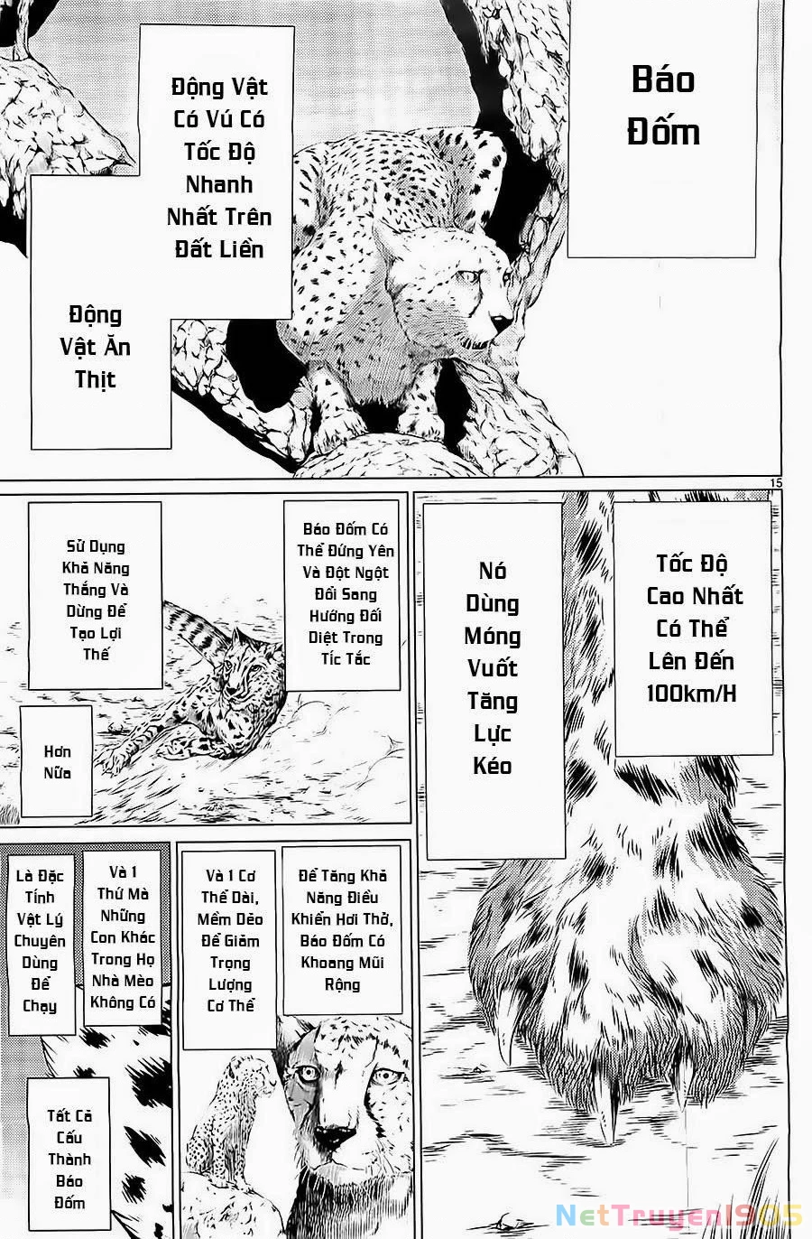 Killing Bites Chapter 5 - 15