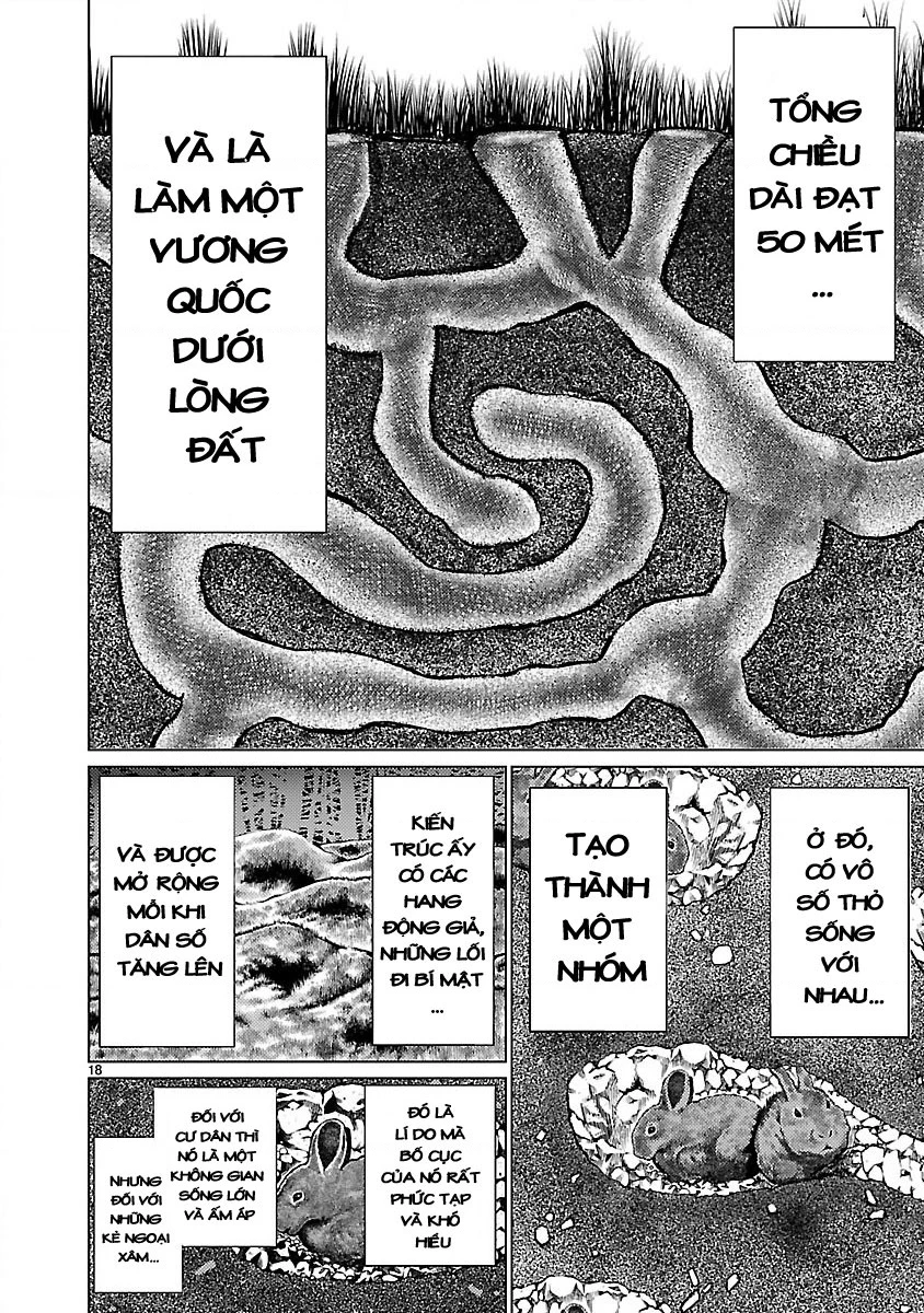 Killing Bites Chapter 18 - 19