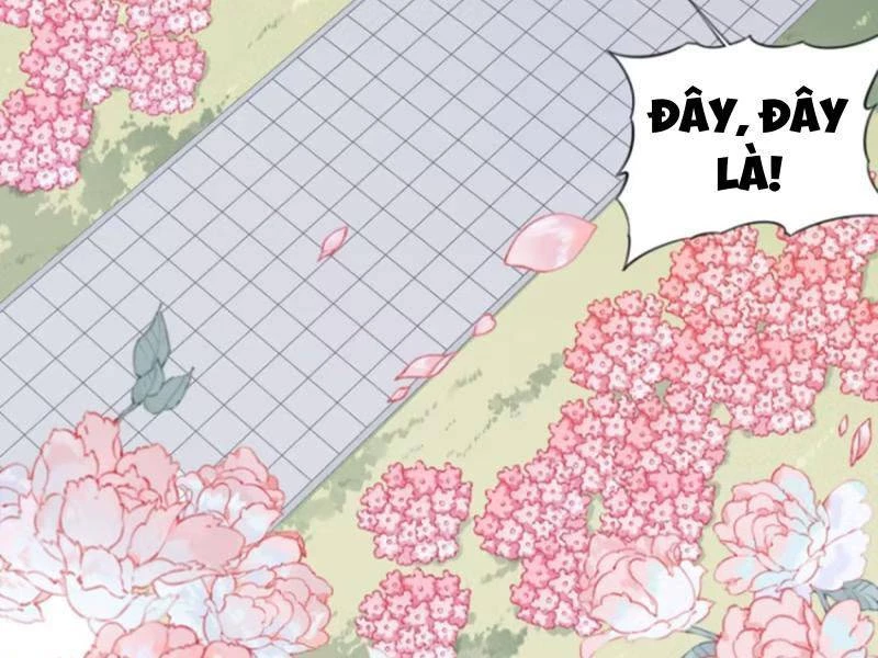 Ta Dùng Cơ Bắp Xưng Bá Tu Tiên Giới Chapter 32 - 36