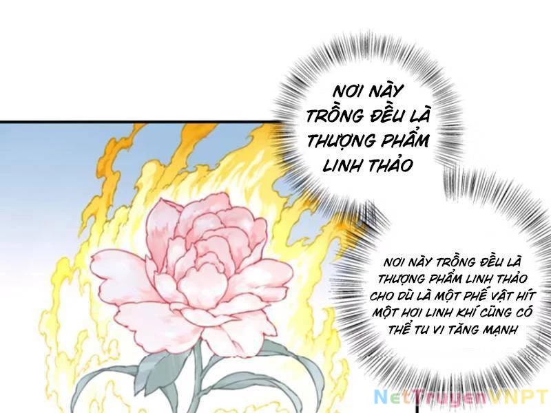 Ta Dùng Cơ Bắp Xưng Bá Tu Tiên Giới Chapter 32 - 39