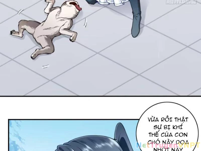 Ta Dùng Cơ Bắp Xưng Bá Tu Tiên Giới Chapter 32 - 50