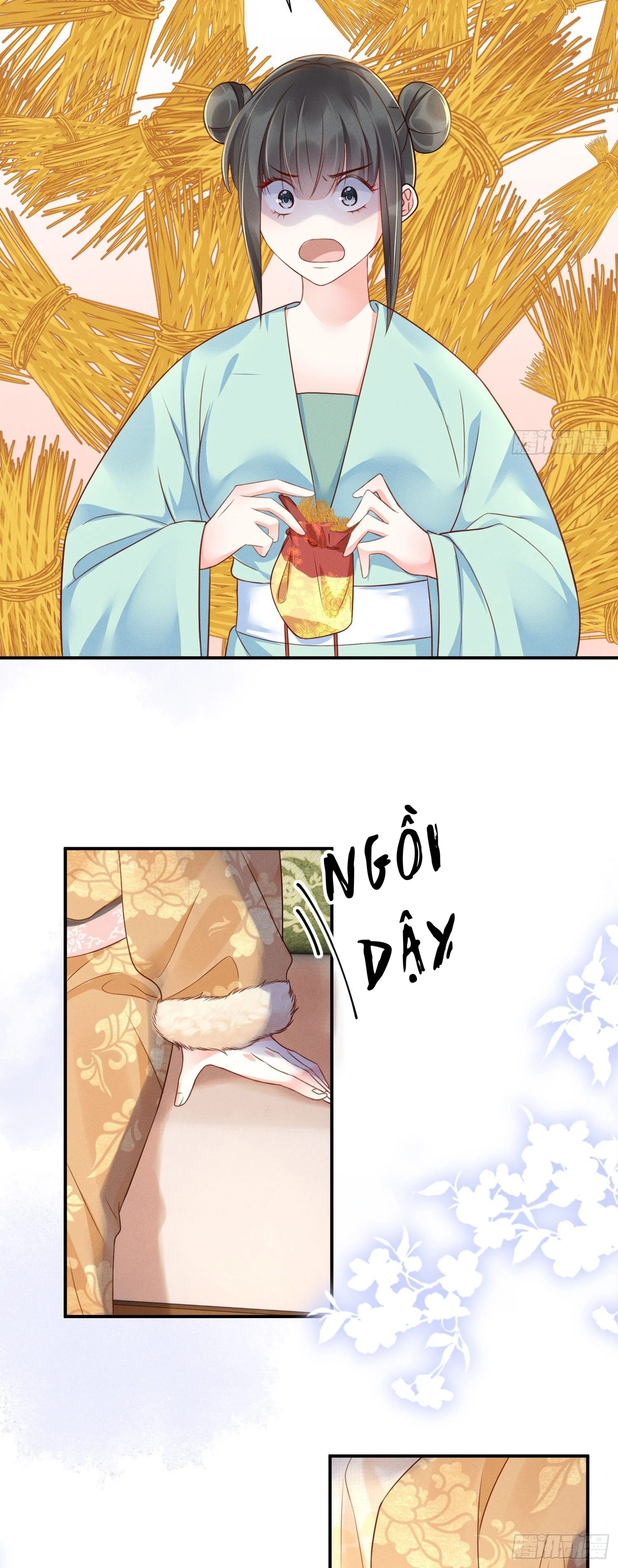 Phú Bà Xuyên Không : Thế Tử Không Dễ Lừa Gạt Chapter 9 - 14