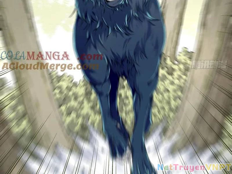 Ta Dùng Cơ Bắp Xưng Bá Tu Tiên Giới Chapter 34 - 58