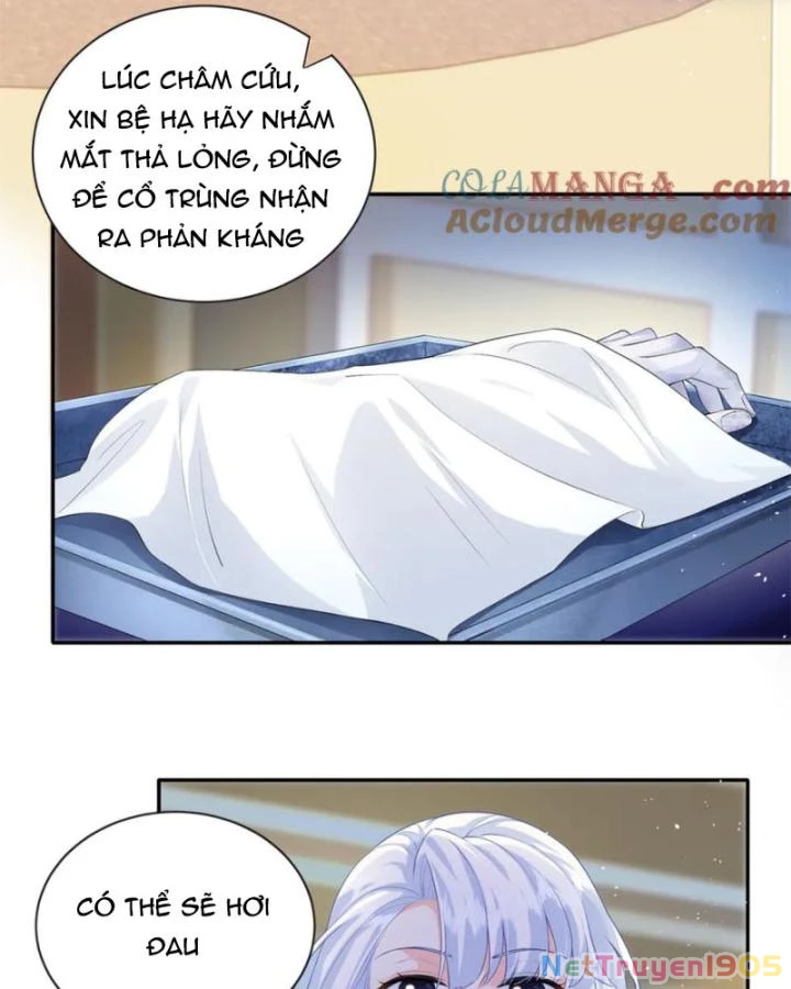 Bé Rồng Đột Kích! Mami Vừa Cay Vừa Độc Chapter 90 - 6