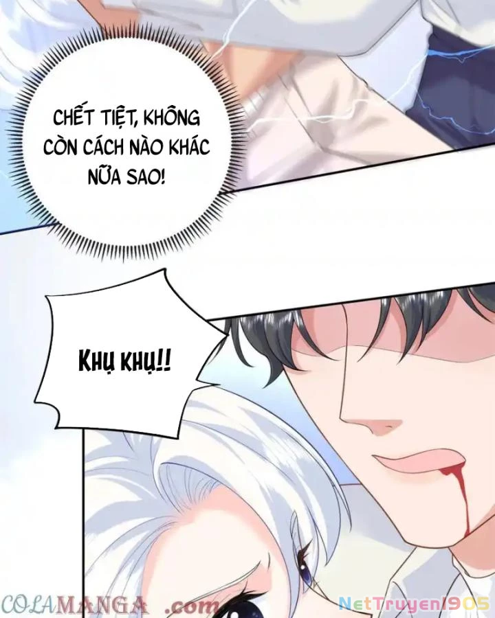 Bé Rồng Đột Kích! Mami Vừa Cay Vừa Độc Chapter 91 - 17