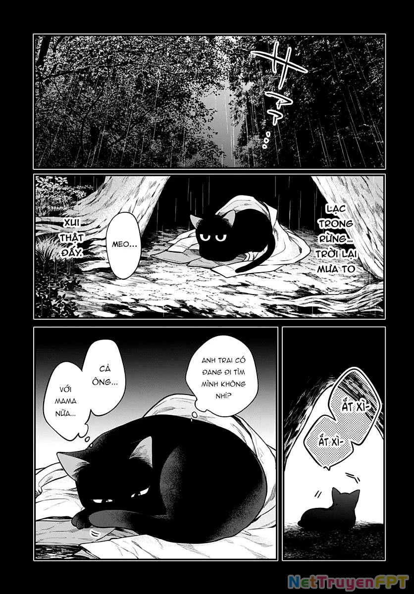 Mi-Chan Wa Kawaretai Chapter 13 - 4