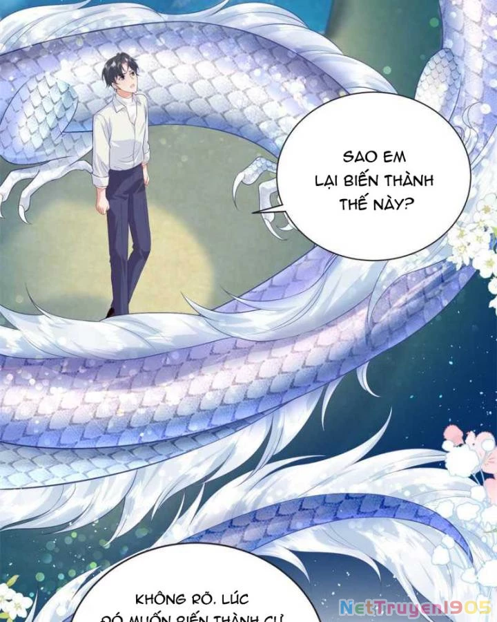 Bé Rồng Đột Kích! Mami Vừa Cay Vừa Độc Chapter 92 - 6