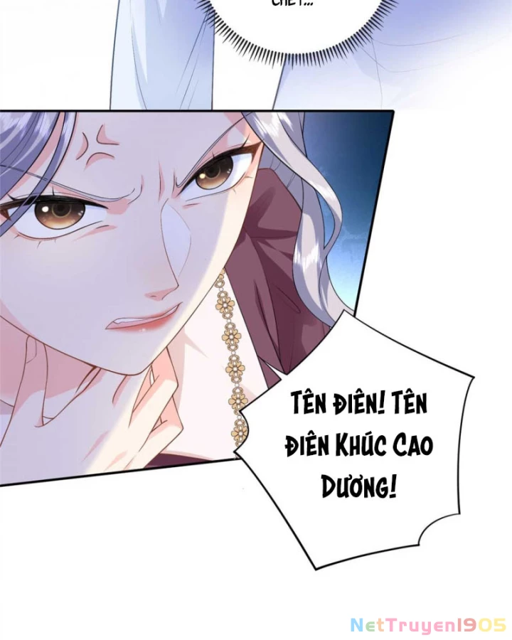 Bé Rồng Đột Kích! Mami Vừa Cay Vừa Độc Chapter 95 - 15