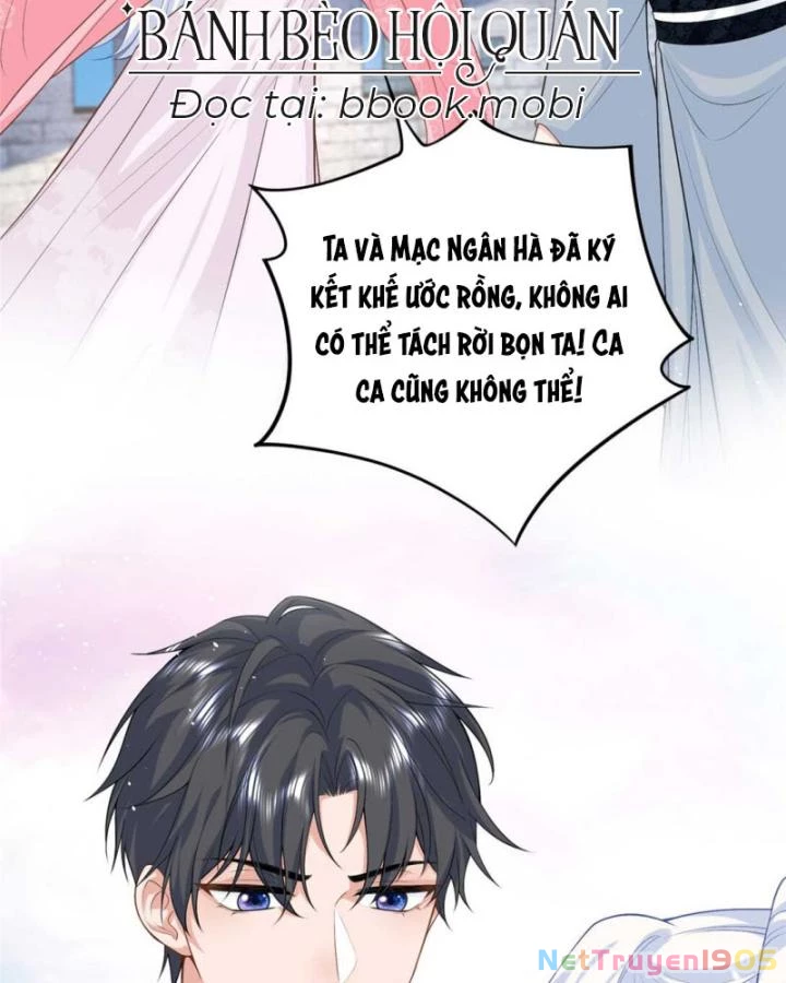 Bé Rồng Đột Kích! Mami Vừa Cay Vừa Độc Chapter 95 - 61