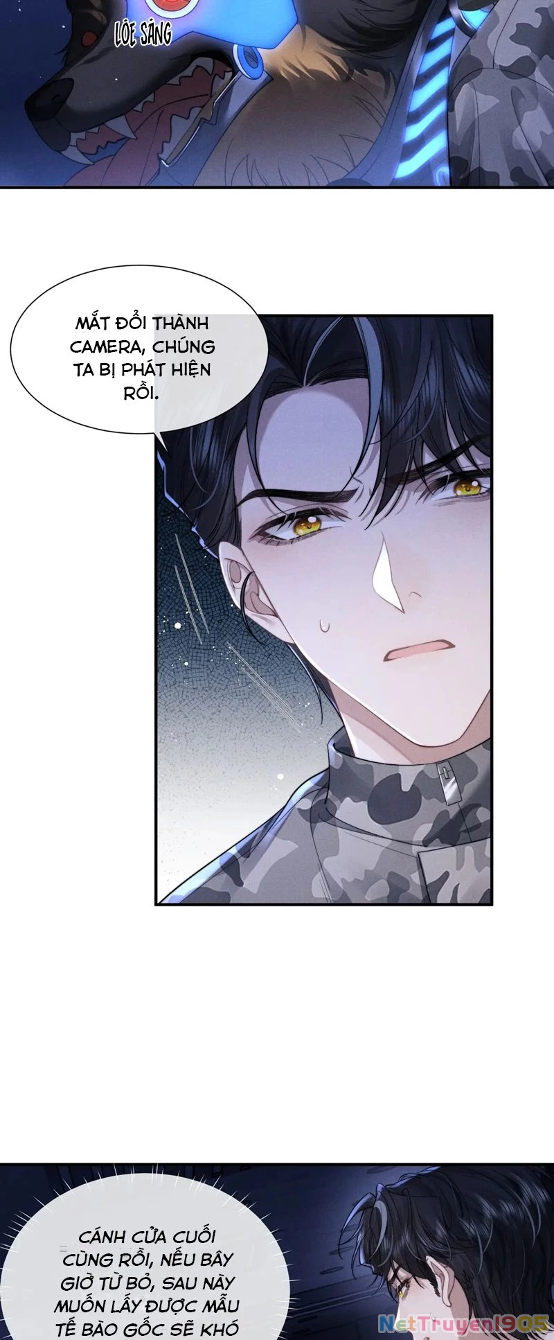 Chấp Sự Thỏ Cụp Tai Chapter 100 - 24