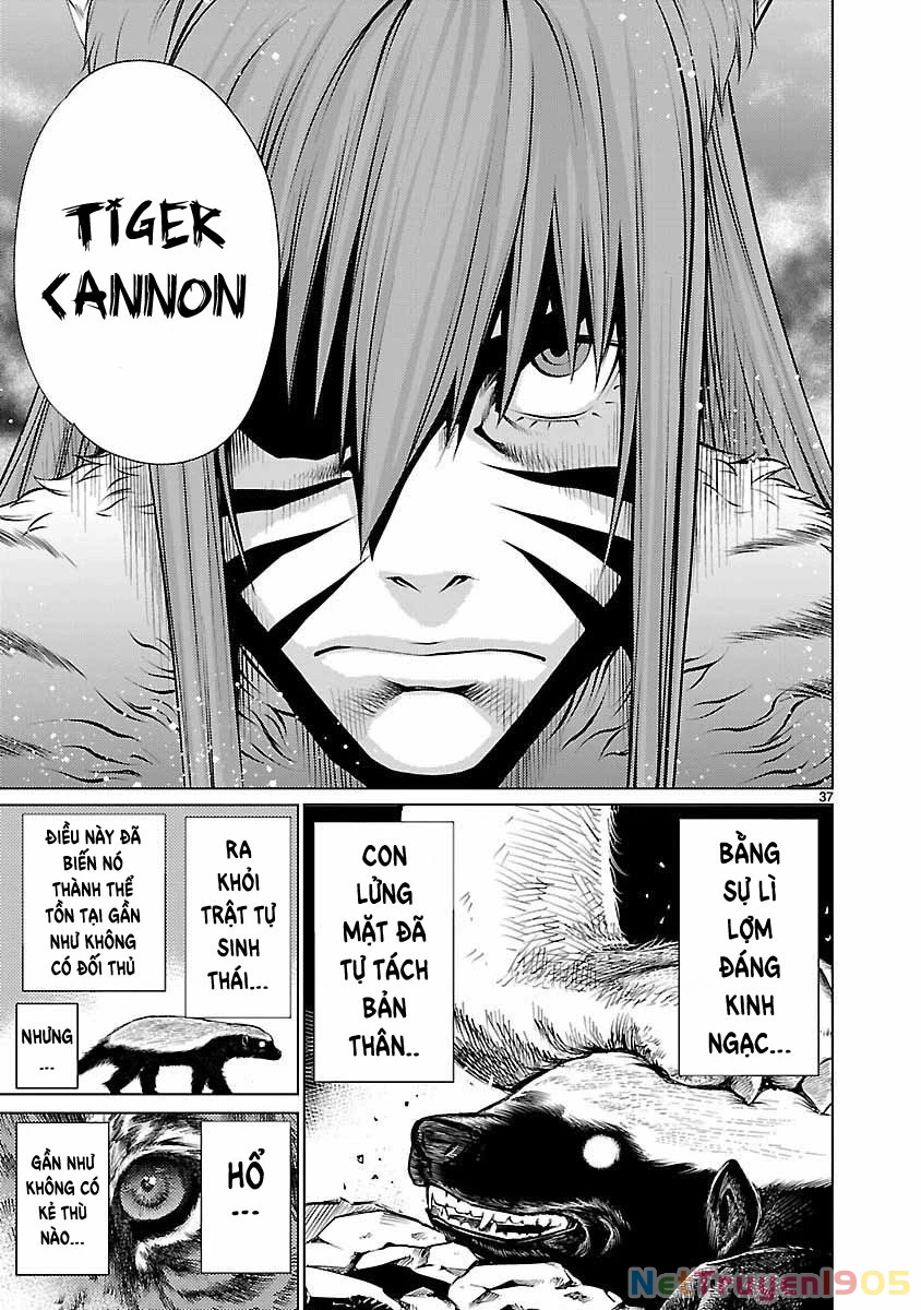 Killing Bites Chapter 20 - 31