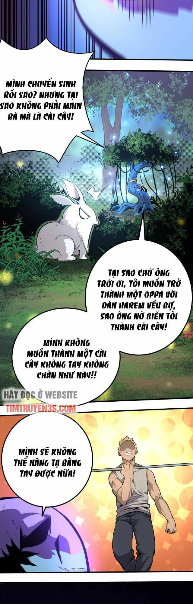 Chuyển Sinh Thành Liễu Đột Biến Chapter 1 - 11