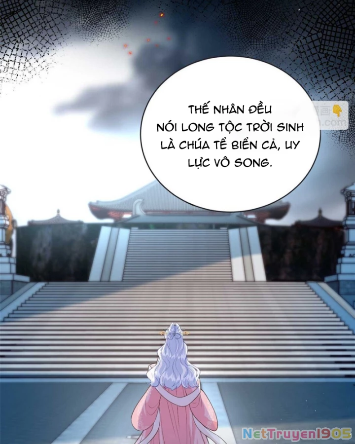 Bé Rồng Đột Kích! Mami Vừa Cay Vừa Độc Chapter 96 - 12