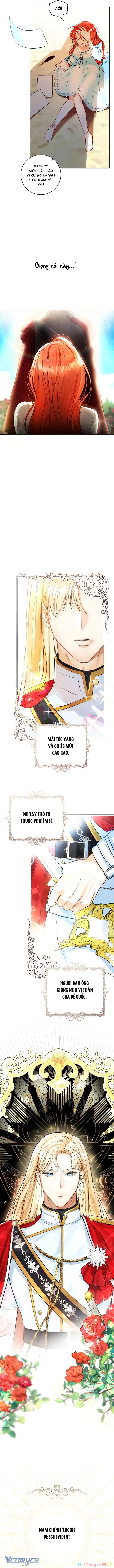 Cuộc Hôn Nhân Xa Hoa Của Đại Công Tước Là Giả Chapter 1 - 10