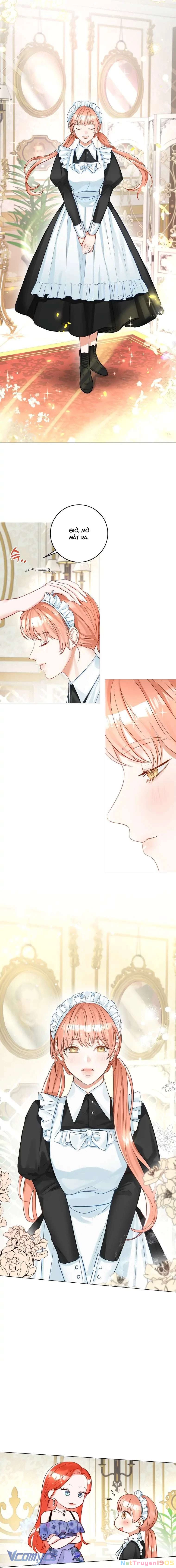 Cuộc Hôn Nhân Xa Hoa Của Đại Công Tước Là Giả Chapter 14 - 5