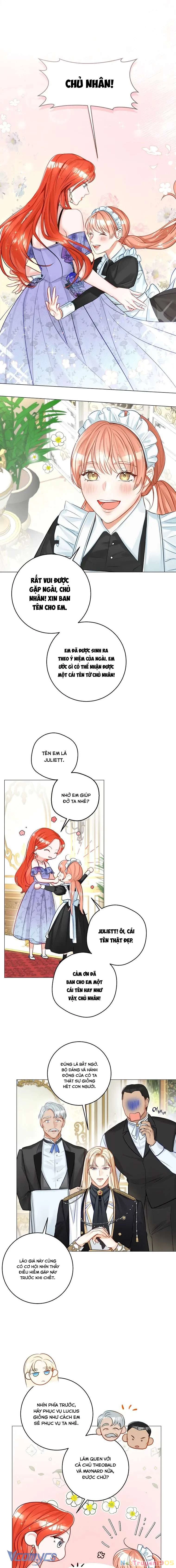 Cuộc Hôn Nhân Xa Hoa Của Đại Công Tước Là Giả Chapter 14 - 6