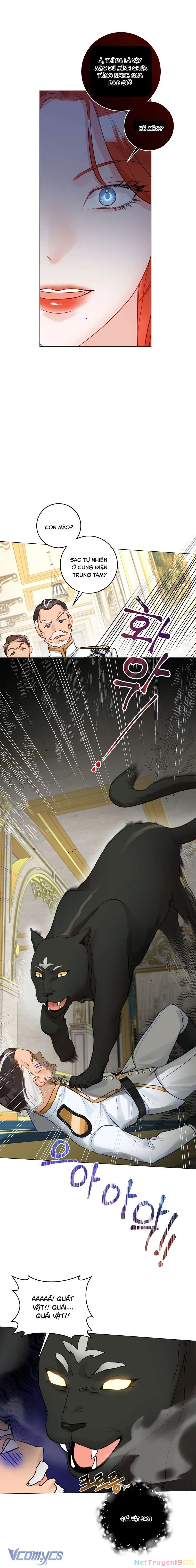 Cuộc Hôn Nhân Xa Hoa Của Đại Công Tước Là Giả Chapter 19 - 9