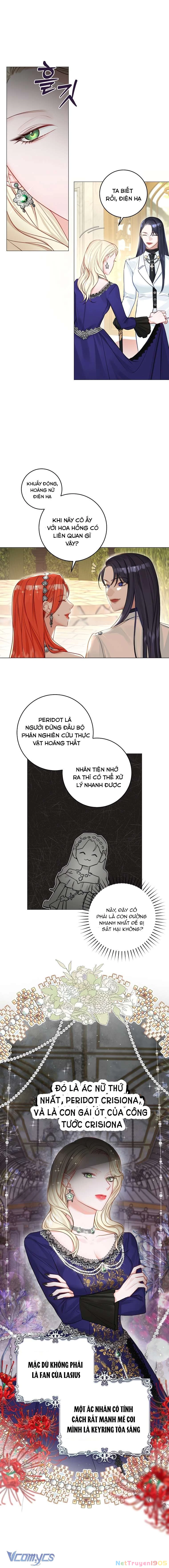 Cuộc Hôn Nhân Xa Hoa Của Đại Công Tước Là Giả Chapter 20 - 3