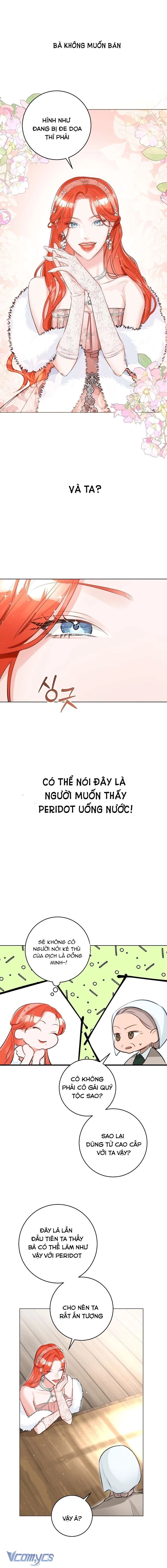 Cuộc Hôn Nhân Xa Hoa Của Đại Công Tước Là Giả Chapter 25 - 13