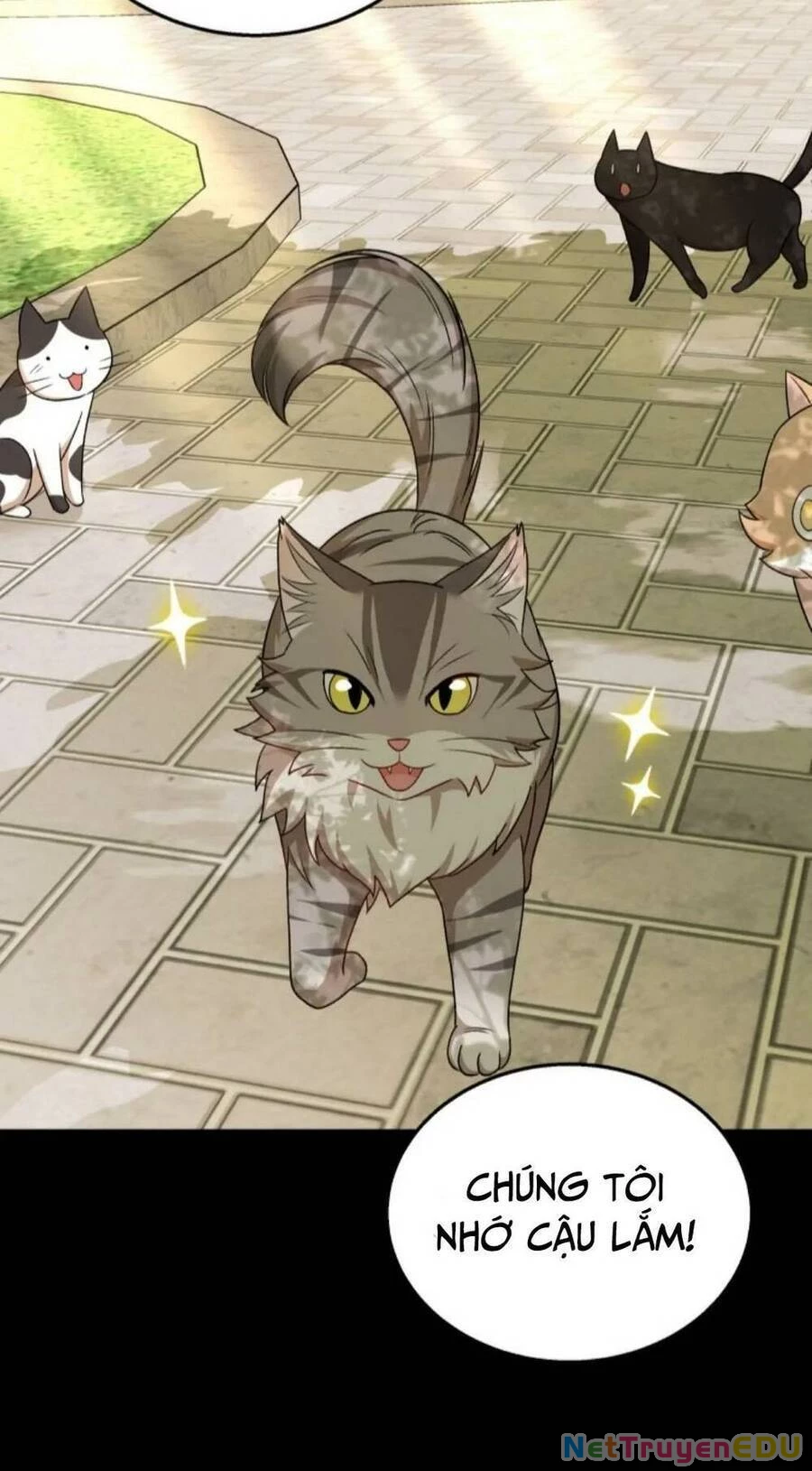 Xin Chào! Bác Sĩ Thú Y Chapter 21 - 30