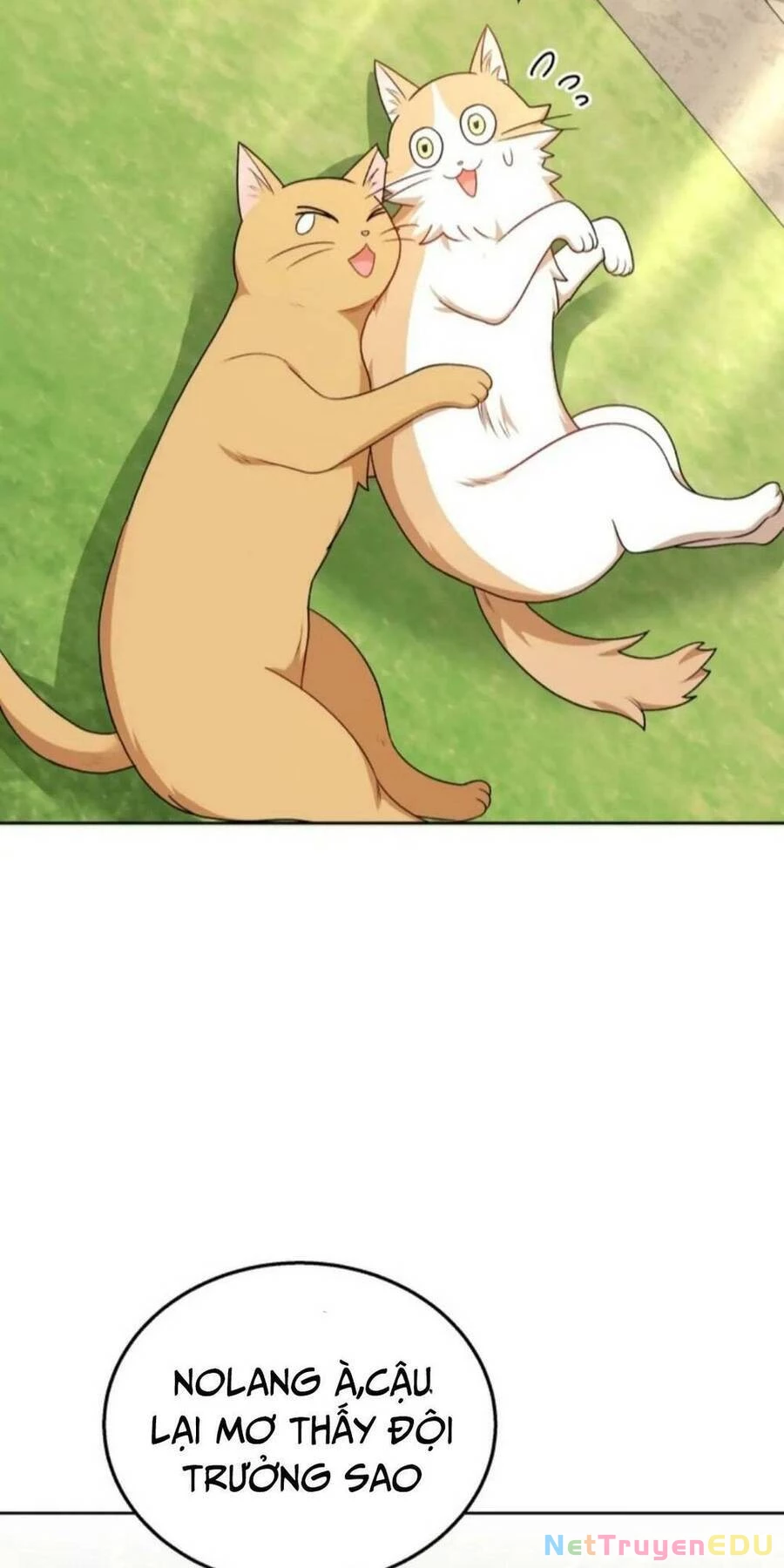 Xin Chào! Bác Sĩ Thú Y Chapter 21 - 37
