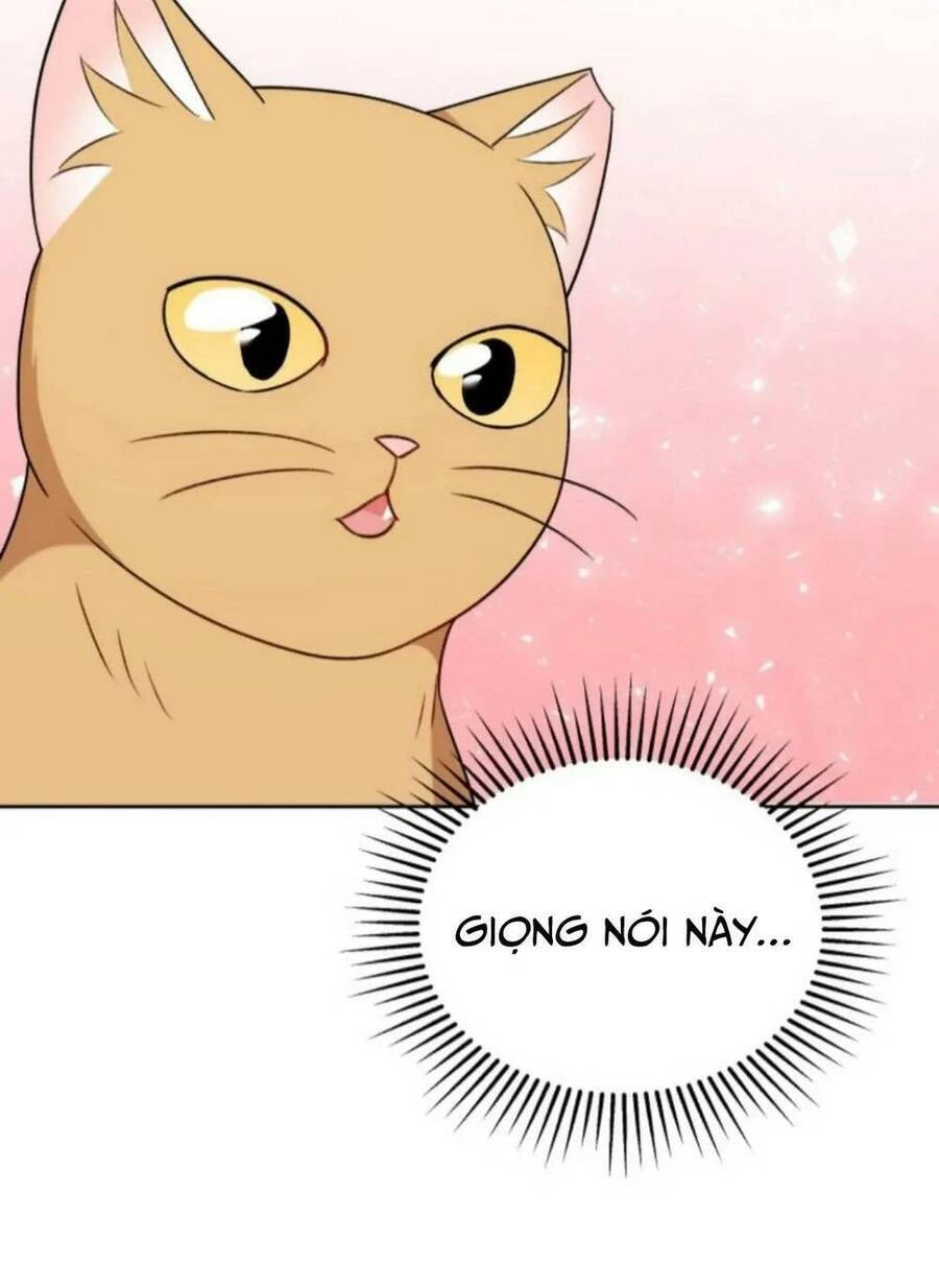 Xin Chào! Bác Sĩ Thú Y Chapter 21 - 45