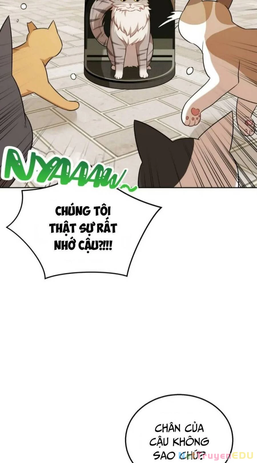 Xin Chào! Bác Sĩ Thú Y Chapter 21 - 51