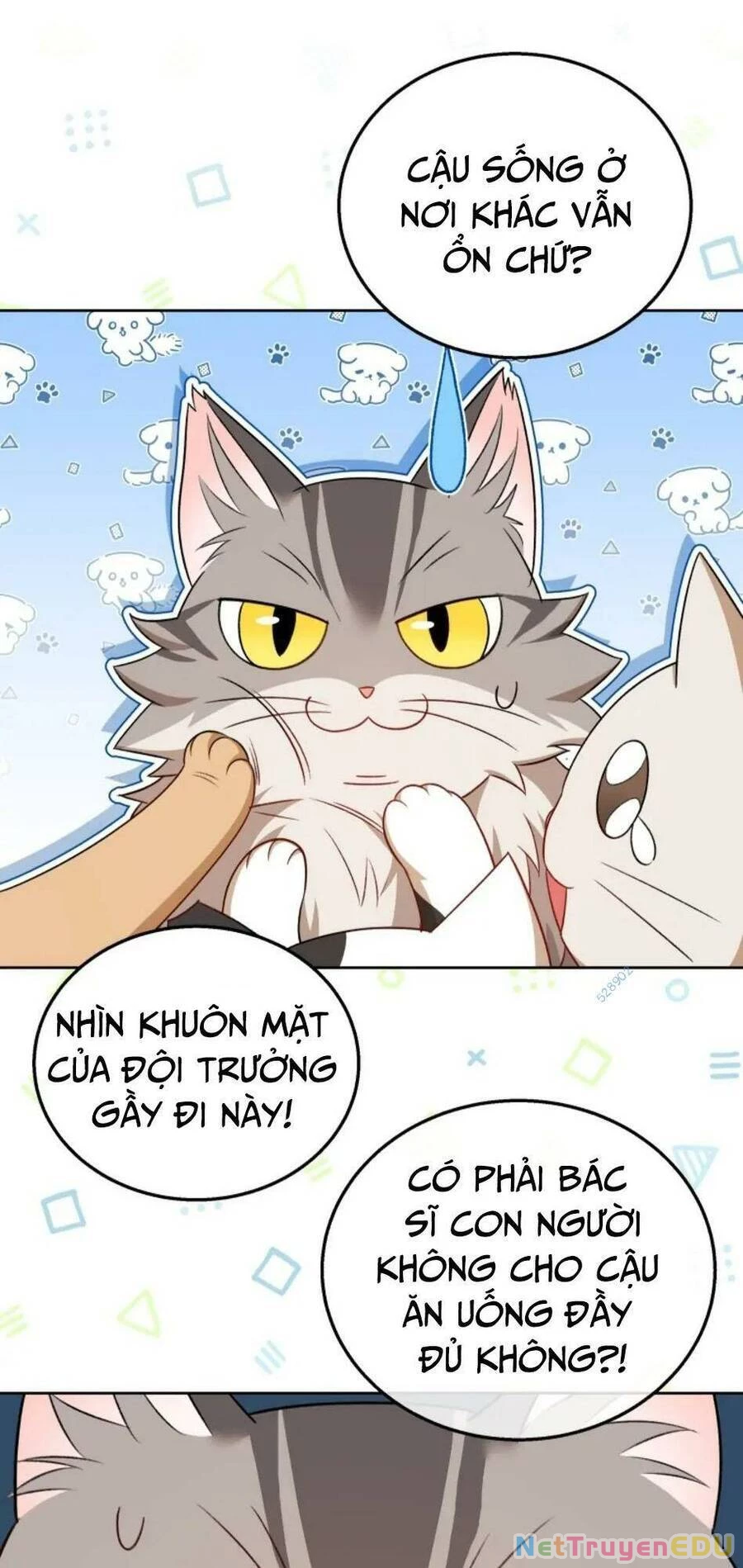 Xin Chào! Bác Sĩ Thú Y Chapter 21 - 53