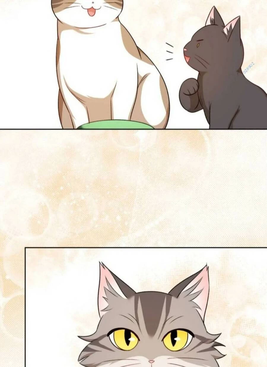 Xin Chào! Bác Sĩ Thú Y Chapter 21 - 68