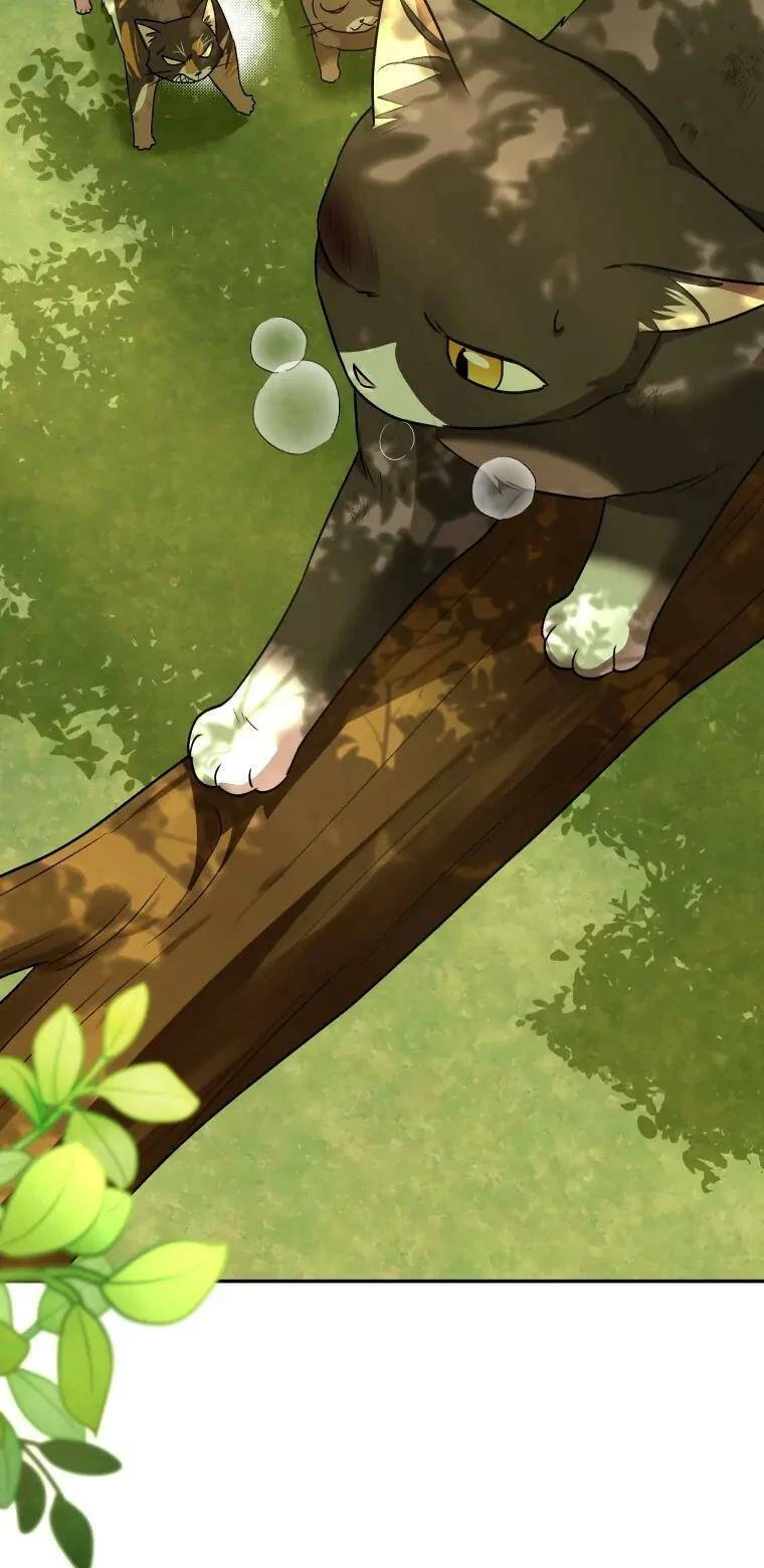 Xin Chào! Bác Sĩ Thú Y Chapter 27 - 30