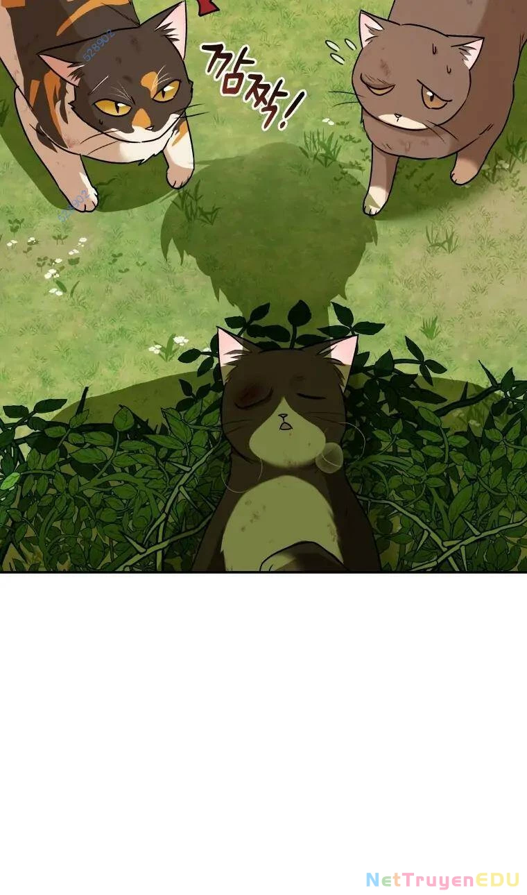 Xin Chào! Bác Sĩ Thú Y Chapter 27 - 45