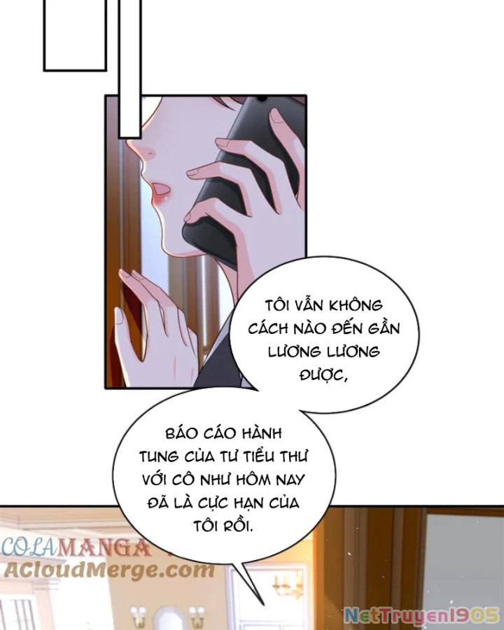 Bé Rồng Đột Kích! Mami Vừa Cay Vừa Độc Chapter 97 - 11