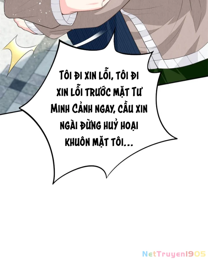 Bé Rồng Đột Kích! Mami Vừa Cay Vừa Độc Chapter 97 - 52