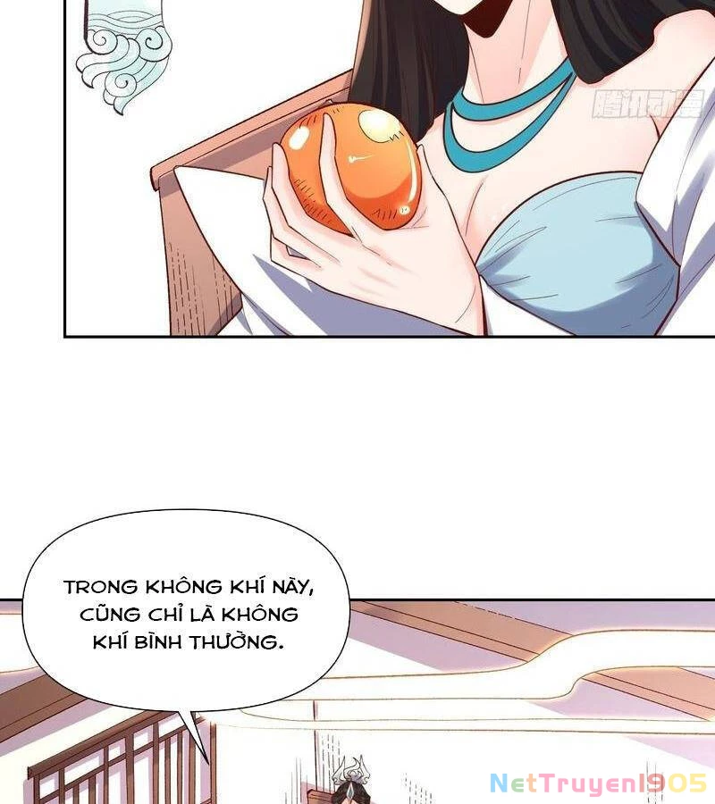 Nguyên Lai Ta Là Tu Tiên Đại Lão Chapter 397 - 28