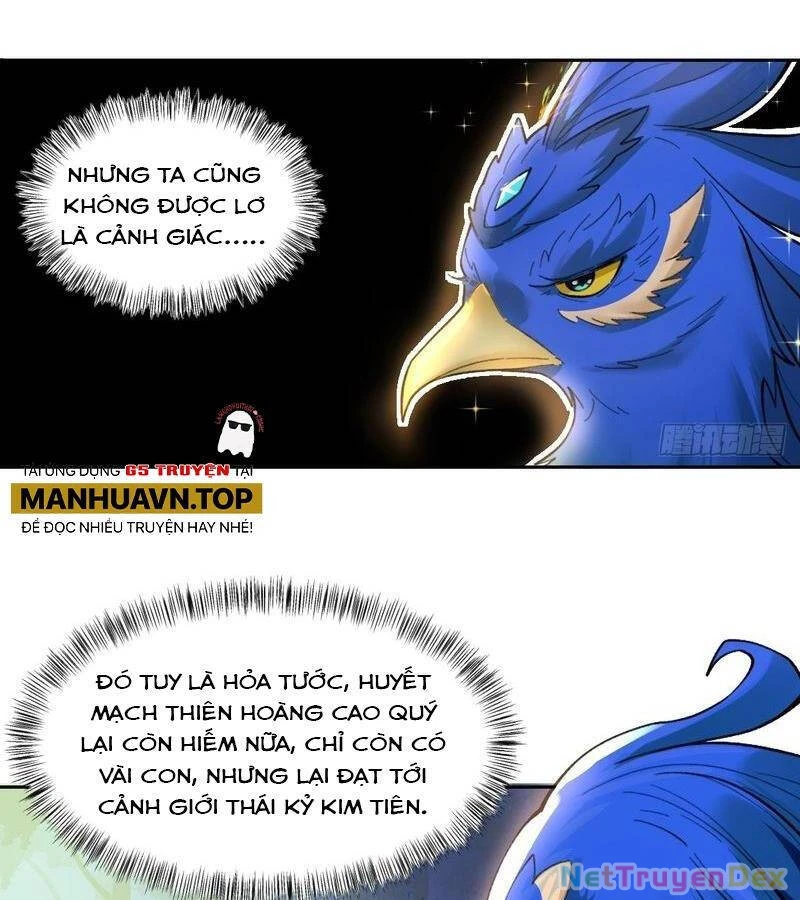 Nguyên Lai Ta Là Tu Tiên Đại Lão Chapter 399 - 55