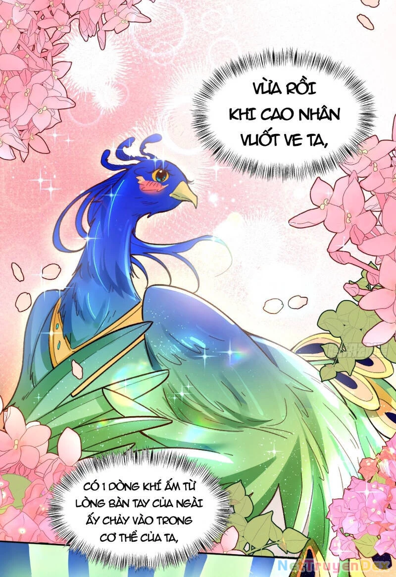 Nguyên Lai Ta Là Tu Tiên Đại Lão Chapter 400 - 11