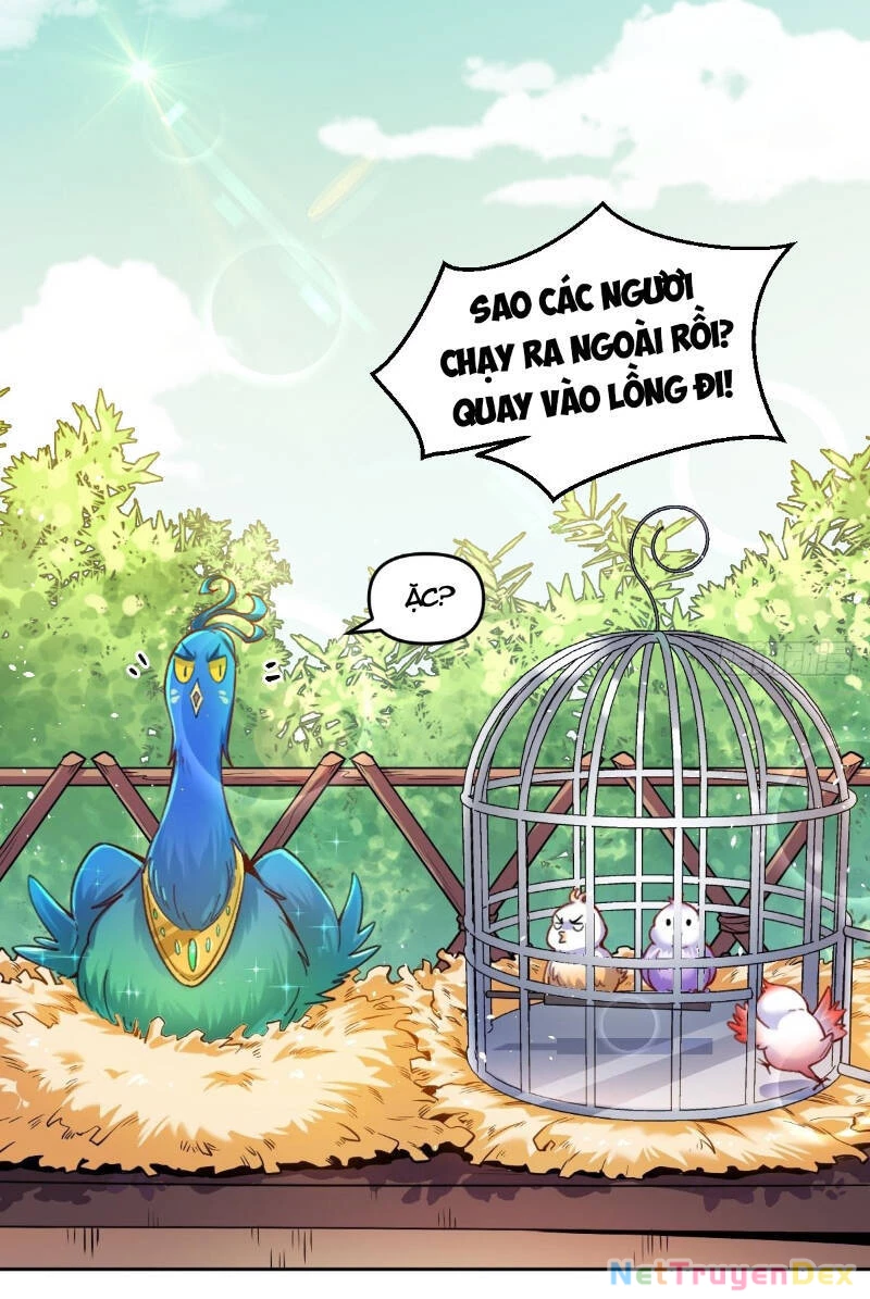 Nguyên Lai Ta Là Tu Tiên Đại Lão Chapter 400 - 18