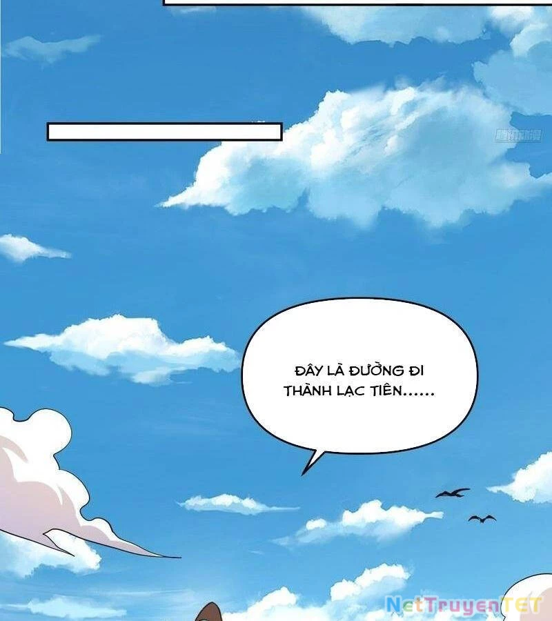 Nguyên Lai Ta Là Tu Tiên Đại Lão Chapter 402 - 16