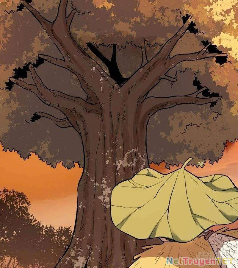 Nguyên Lai Ta Là Tu Tiên Đại Lão Chapter 402 - 47