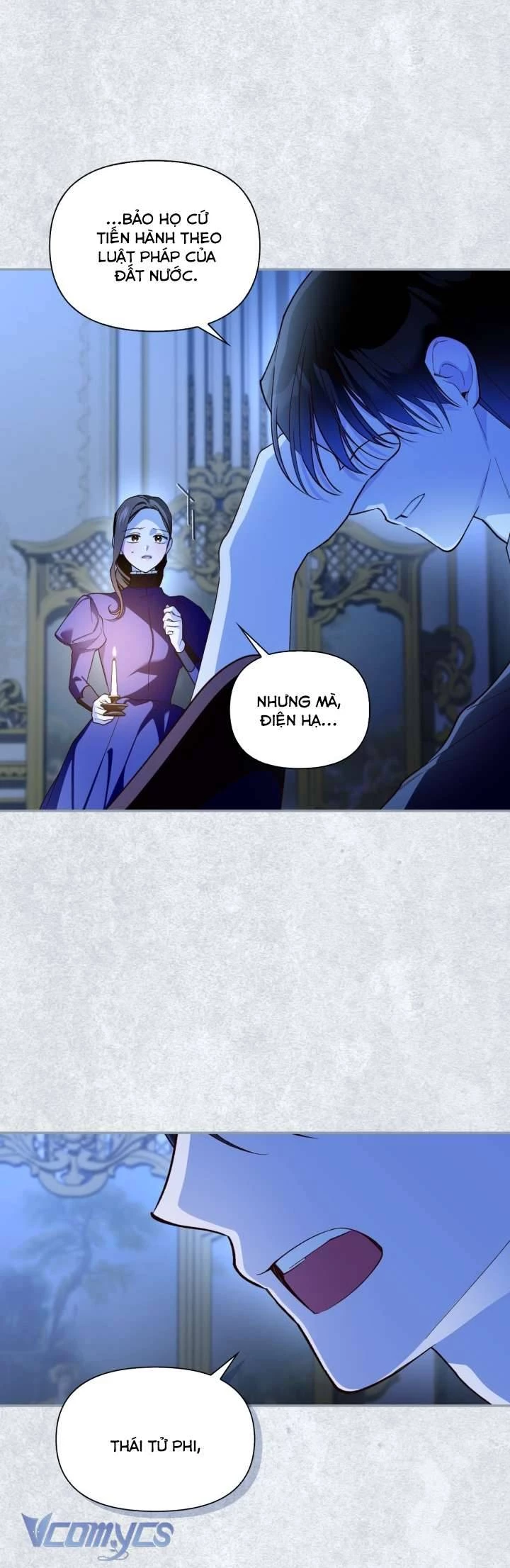 Phương Pháp Che Giấu Đứa Con Của Hoàng Đế Chapter 98 - 25