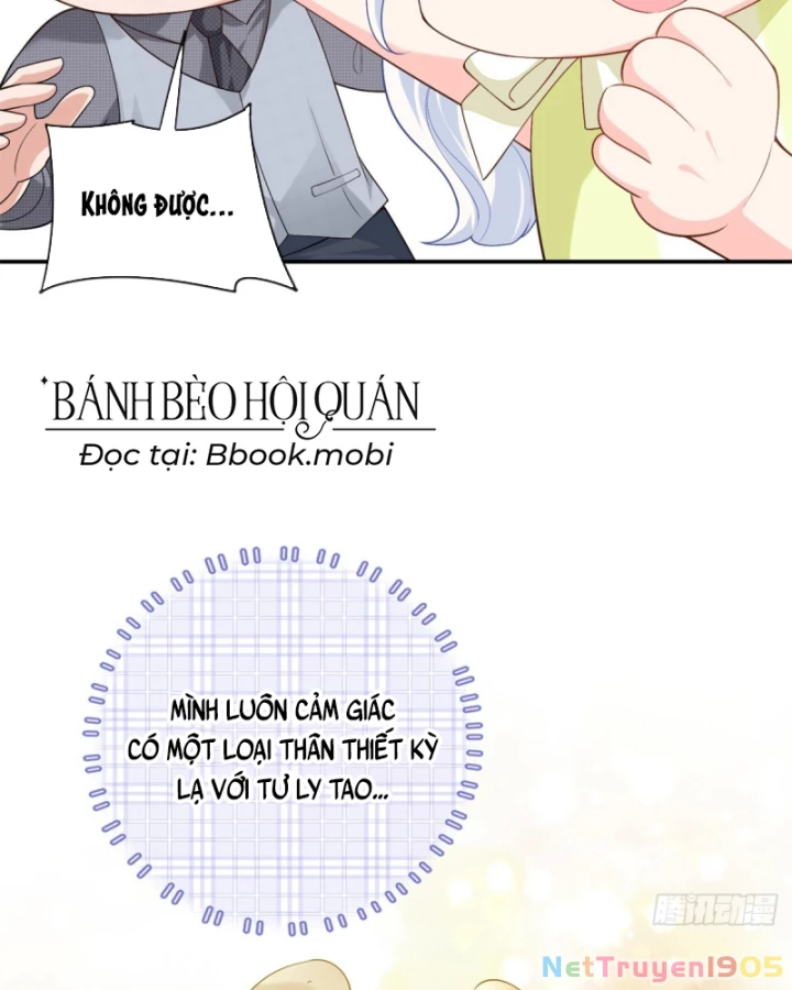 Bé Rồng Đột Kích! Mami Vừa Cay Vừa Độc Chapter 99 - 42