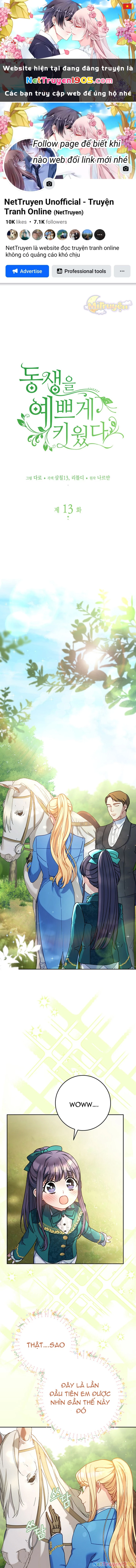 Tôi Đã Nuôi Dạy Em Gái Mình Một Cách Hoàn Hảo Chapter 13 - 1