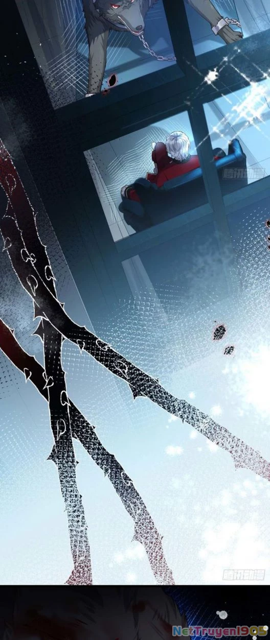 Dẫn Sói Vào Phòng Chapter 2 - 3