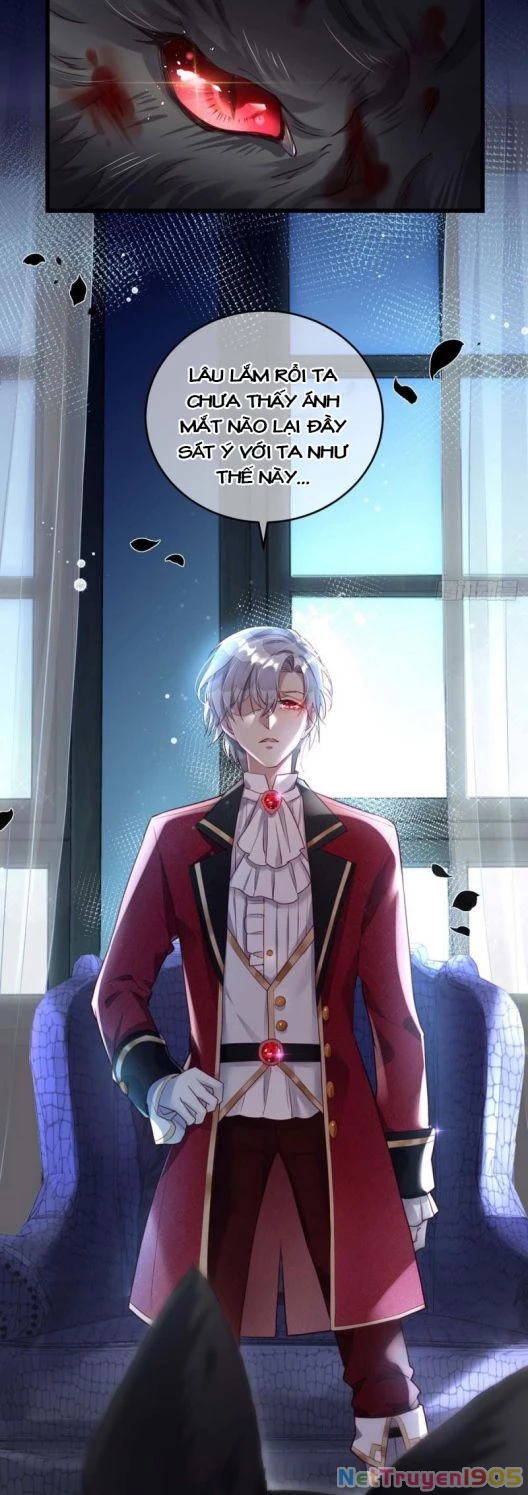 Dẫn Sói Vào Phòng Chapter 2 - 5