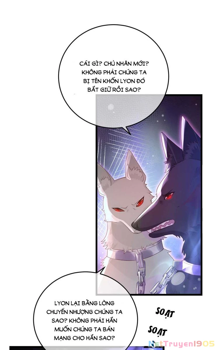 Dẫn Sói Vào Phòng Chapter 8 - 19