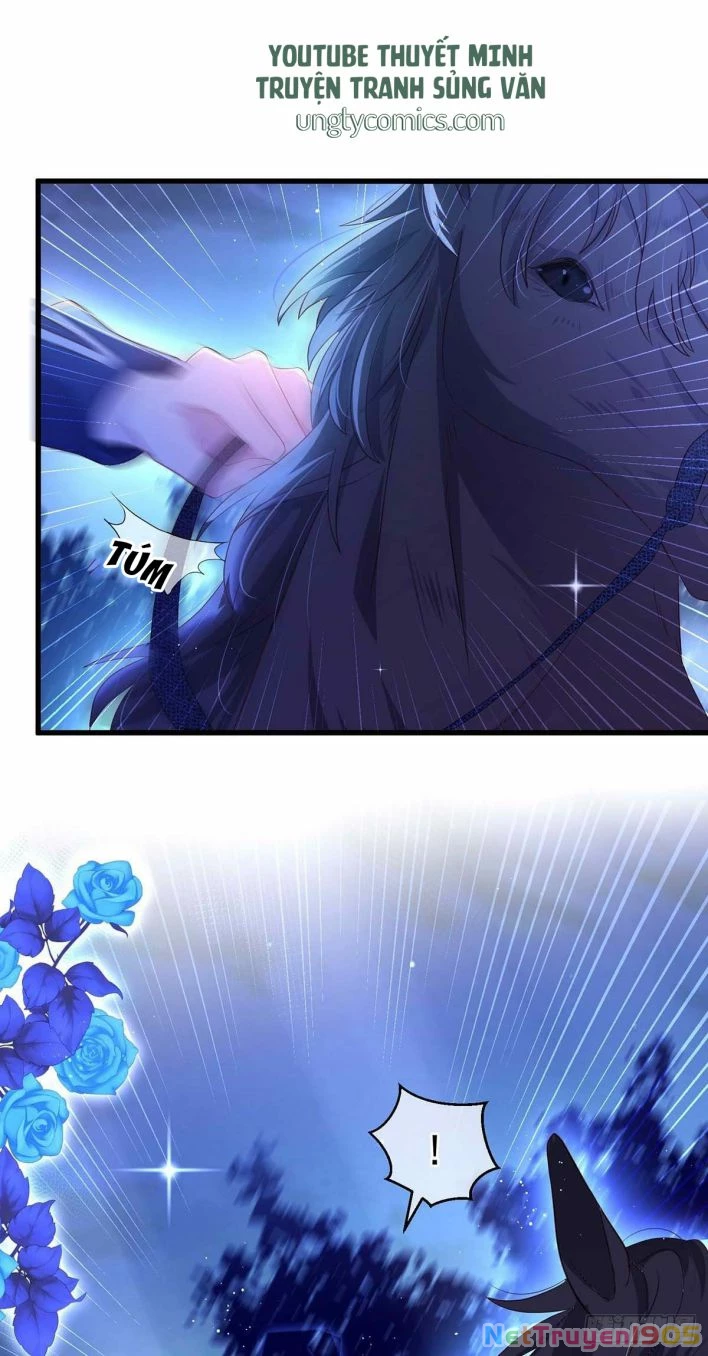 Dẫn Sói Vào Phòng Chapter 10 - 11