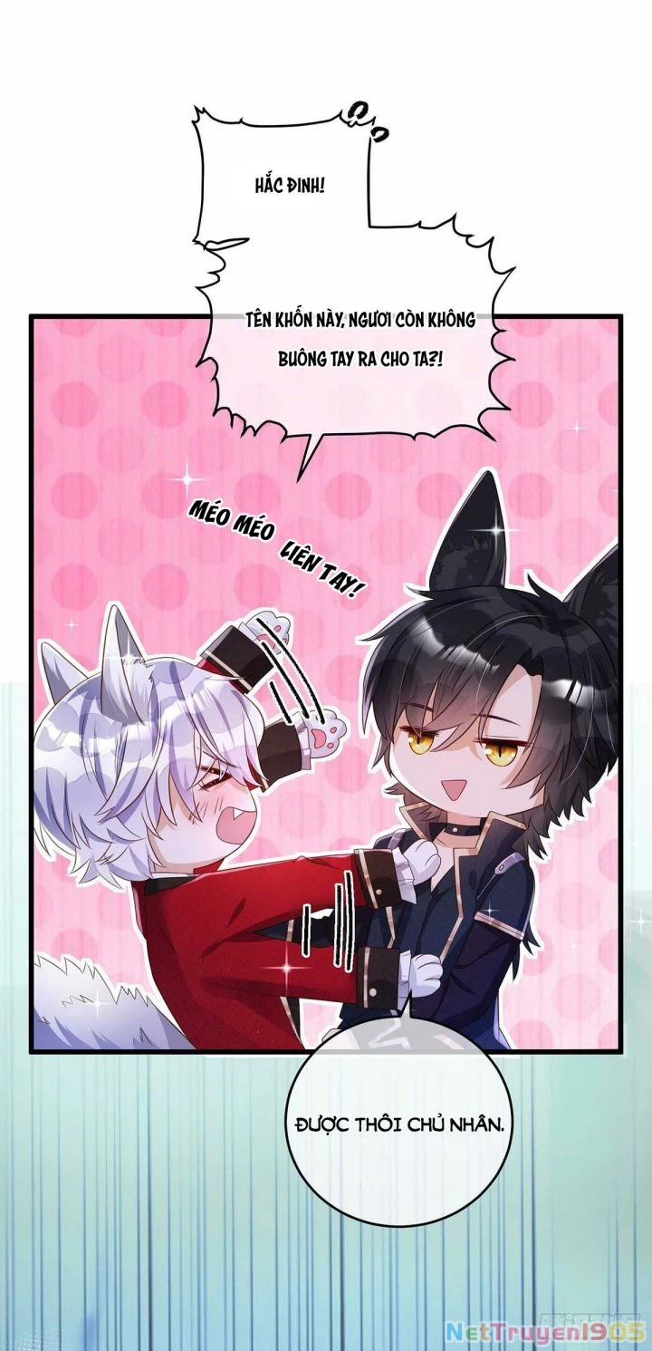 Dẫn Sói Vào Phòng Chapter 11 - 19