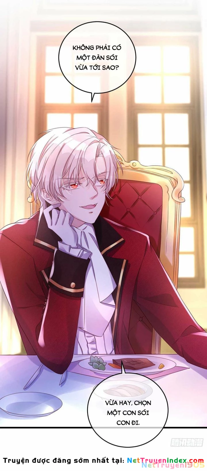 Dẫn Sói Vào Phòng Chapter 12 - 25